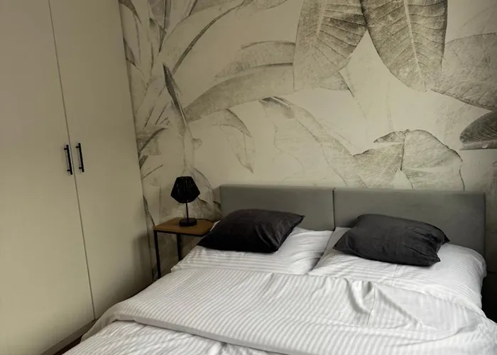 Malczewskiego 3 * 克沃兹科